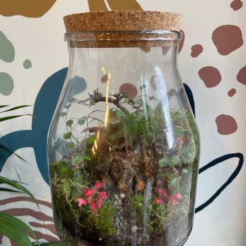 Janinne Bioaktives Terrarium