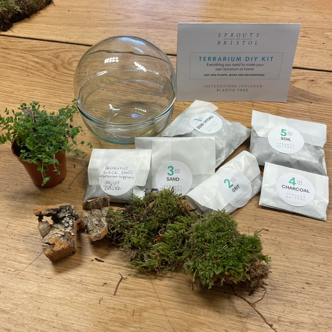 Kit para construir tu propio terrario - Orbe Telise