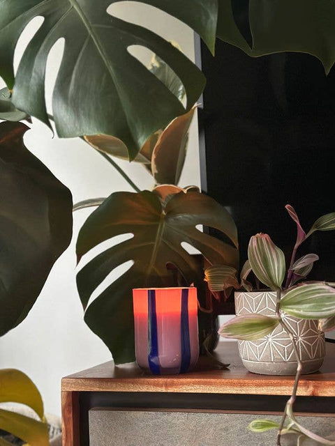 Atina Candle - Blackcurrant & Oudh - Sprouts of Bristol