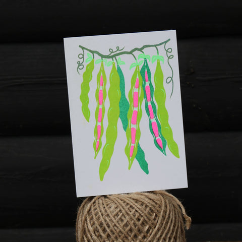 Beans Grow Greetings Card - Sprouts of Bristol