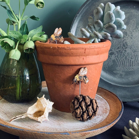Bee Plant Pot Companions - Sprouts of Bristol