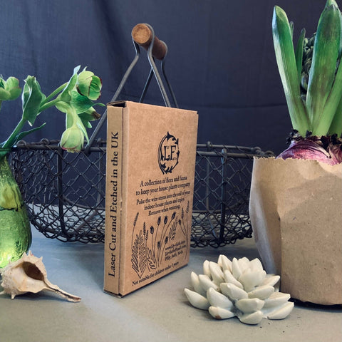 Bee Plant Pot Companions - Sprouts of Bristol