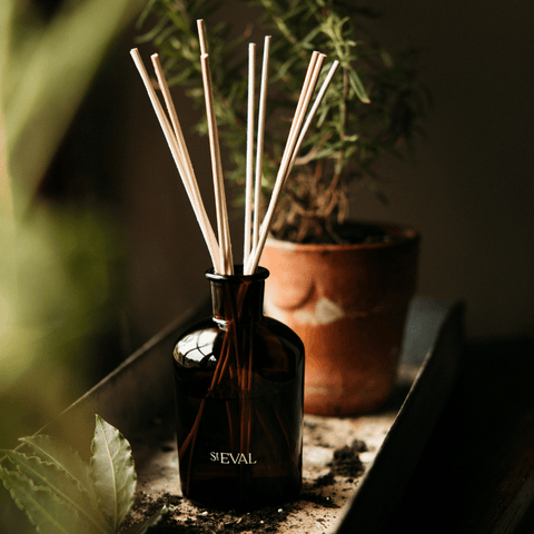Bergamot & Nettle Reed Diffuser - Sprouts of Bristol