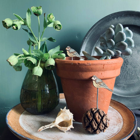 Blue Tit Plant Pot Companions - Sprouts of Bristol