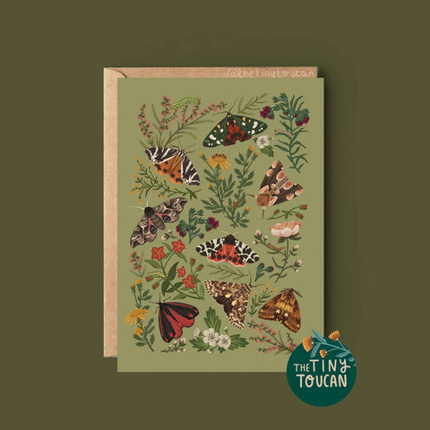 British Moths Greetings Card - Sprouts of Bristol