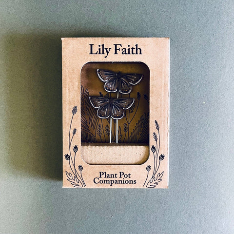 Common Blue Butterfly Plant Pot Companions - Sprouts of Bristol