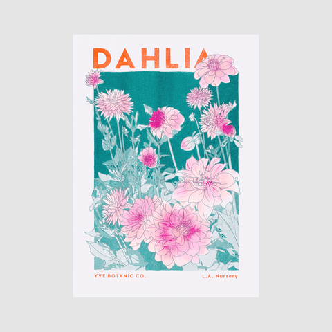 Dahlia Flower Risograph Print - Sprouts of Bristol