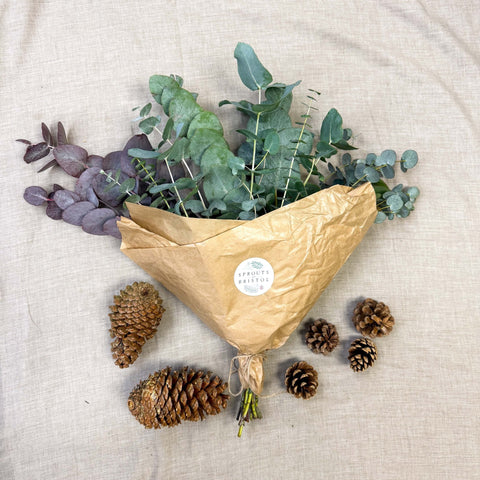 Eucalyptus Bunch – Mixed Varieties – Fresh Foliage for Christmas Wreaths, Floristry & Festive Crafting - Sprouts of Bristol