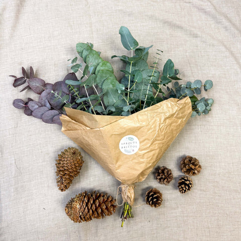 Eucalyptus Bunch – Mixed Varieties – Fresh Foliage for Christmas Wreaths, Floristry & Festive Crafting - Sprouts of Bristol