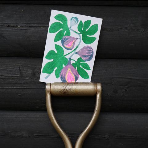 Fig Grow Greetings Card - Sprouts of Bristol