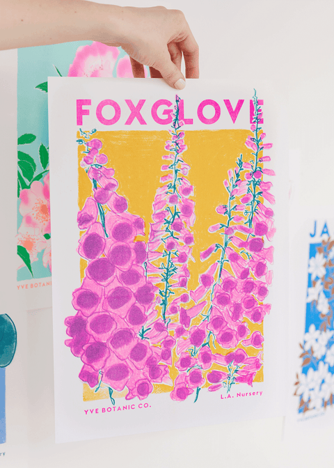 Foxglove Flower Risograph Print - Sprouts of Bristol