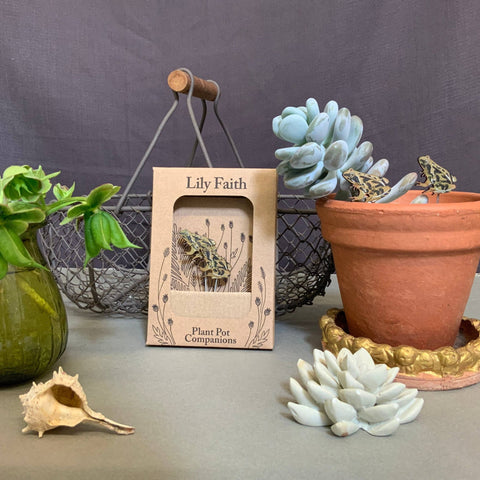 Frog Plant Pot Companions - Sprouts of Bristol