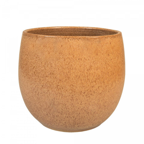 Hailey Planter - Sprouts of Bristol