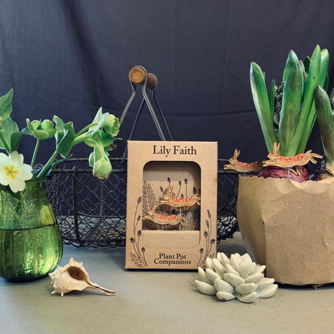 Hare Plant Pot Companions - Sprouts of Bristol