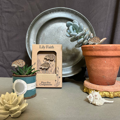 Hedgehog Plant Pot Companions - Sprouts of Bristol