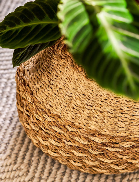 Kingsmead Belly Basket Pot in Seagrass - Sprouts of Bristol