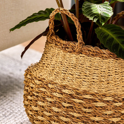 Kingsmead Belly Basket Pot in Seagrass - Sprouts of Bristol