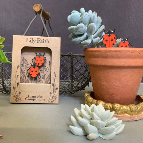 Ladybird Plant Pot Companions - Sprouts of Bristol