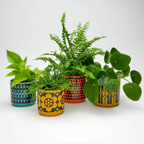 Magpie x Hornsea Medium Planty – Geo Chartreuse Plant Pot - Sprouts of Bristol