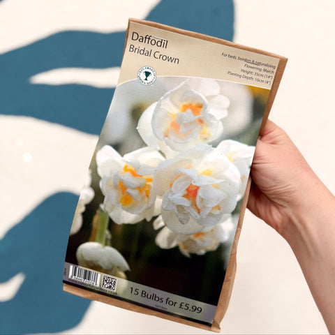 Narcissus ‘Bridal Crown’ – Double Daffodil Bulbs – Pack of 15 - Sprouts of Bristol
