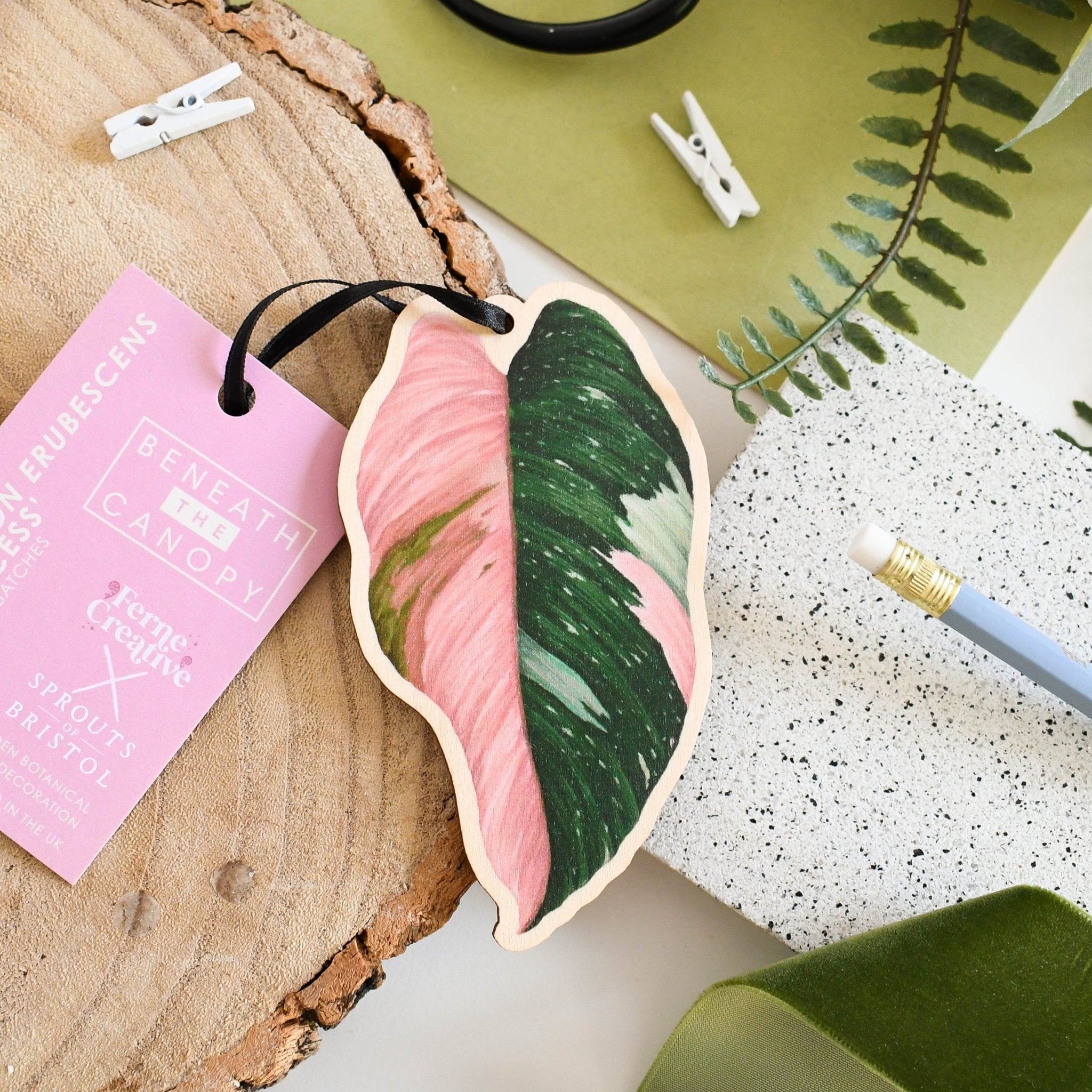 buy philodendron pink princess uk Philodendron 'Pink Princess' Wooden Decoration [Beneath the Canopy RHS – Sprouts of Bristol