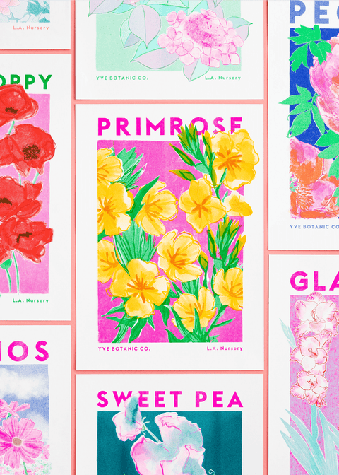 Primrose Flower Risograph Print - Sprouts of Bristol