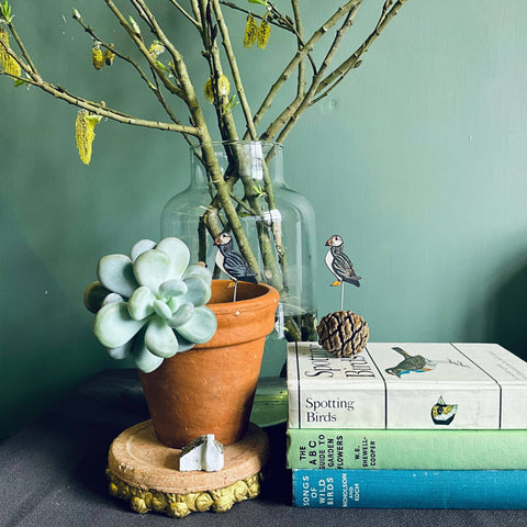 Puffin Plant Pot Companions - Sprouts of Bristol