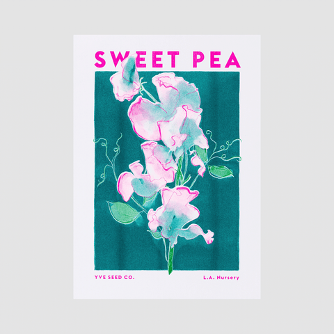 Sweet Pea Flower Risograph Print - Sprouts of Bristol