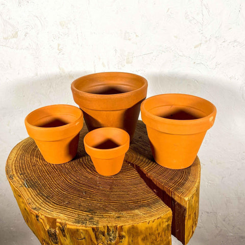 Terracotta Saucers - Sprouts of Bristol