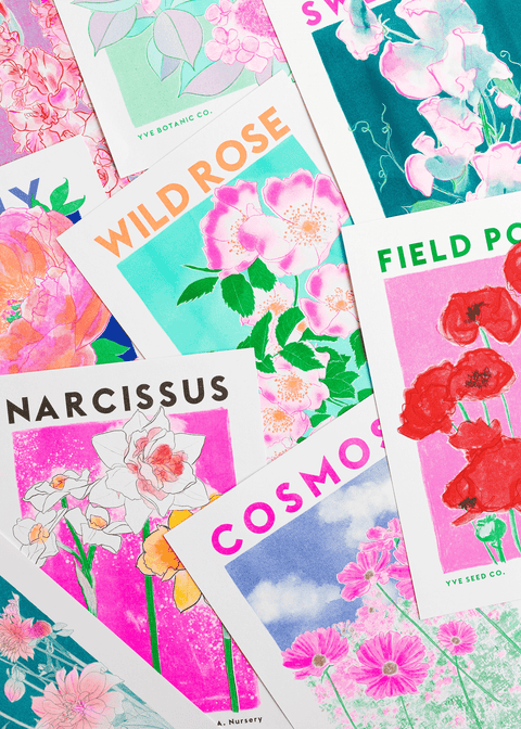 Wild Rose Flower Risograph Print - Sprouts of Bristol