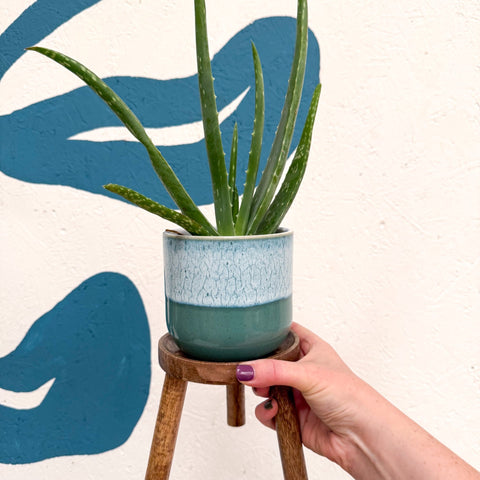 Wooden Tripod Plant Stand – Three Leg Stool Table - Sprouts of Bristol