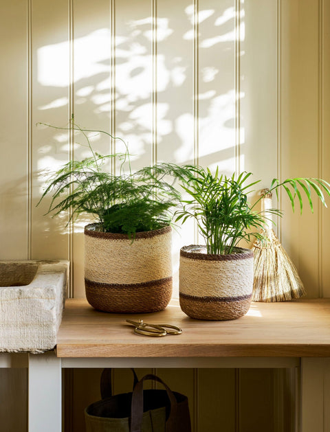 Woven Plant Pots - Multi Stripe Jute Seagrass - Sprouts of Bristol