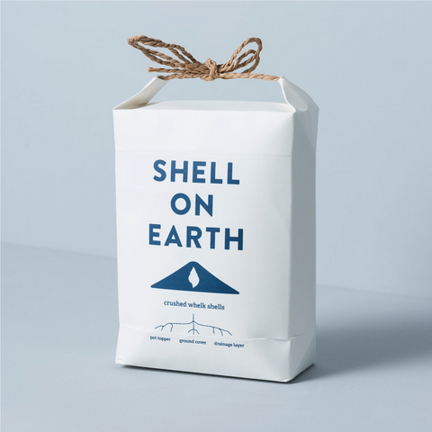Shell on Earth - Zerkleinerte Wellhornschneckenschalen