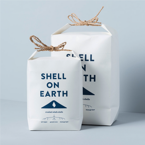 Shell on Earth - Zerkleinerte Wellhornschneckenschalen
