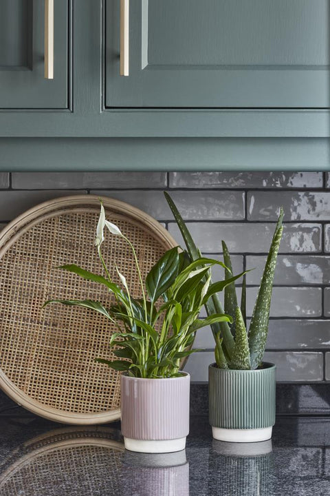 Athens Reactive Glazed Ribbed Planter in Green - Sprouts of Bristol