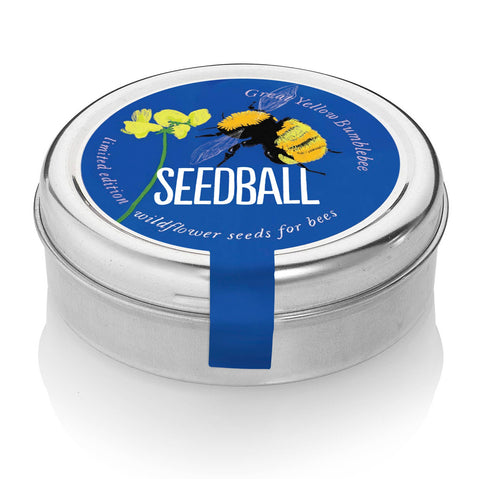 Bumblebee Seedball Wildflower Tins: Yellow - Sprouts of Bristol
