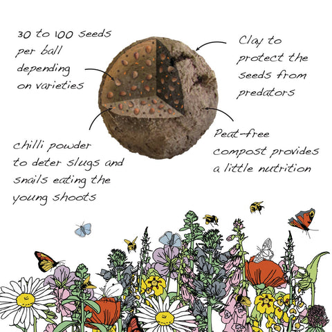 Bumblebee Seedball Wildflower Tins: Yellow - Sprouts of Bristol