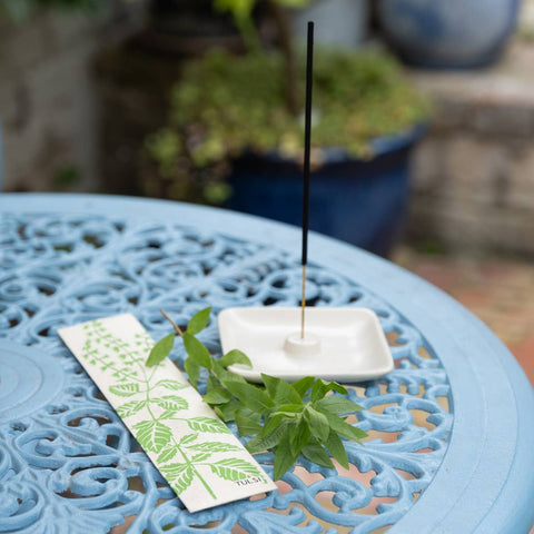 Citronella Fairtrade Incense - Fresh, Lemony and Grassy - Sprouts of Bristol