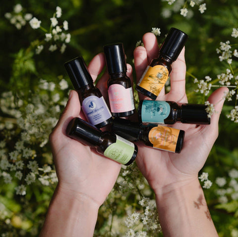 Deep Forest Aromatherapy Roll On - Sprouts of Bristol