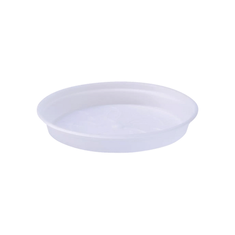 Green Basics Orchid Nursery Saucer - Transparent - Sprouts of Bristol