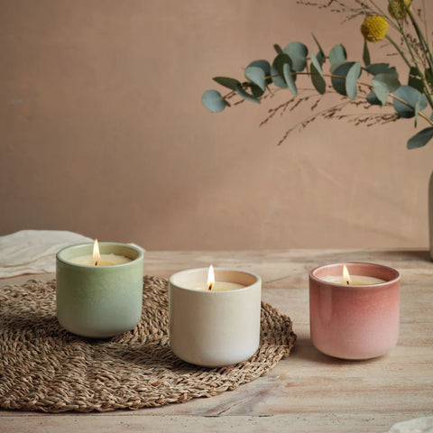 Orange Blossom Candle in Cream Garden Path Ceramic Pot - Sprouts of Bristol