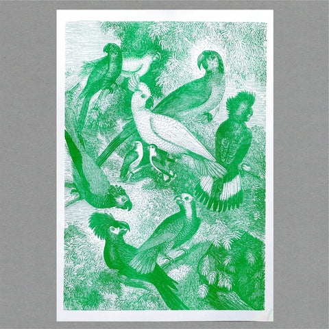Parrots Risograph Print - Sprouts of Bristol