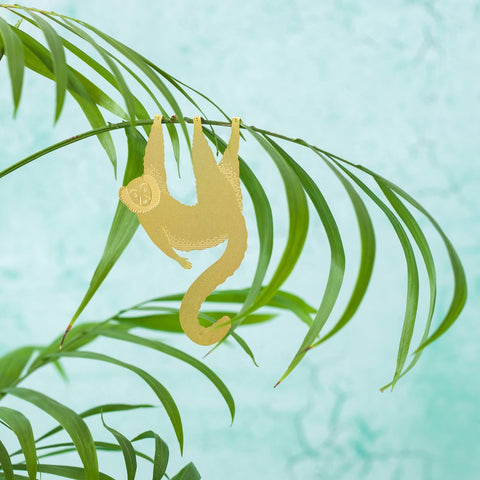 Plant Animal Lemur - Sprouts of Bristol