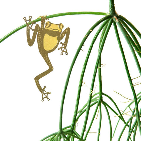 Plant Animal Tree Frog - Sprouts of Bristol