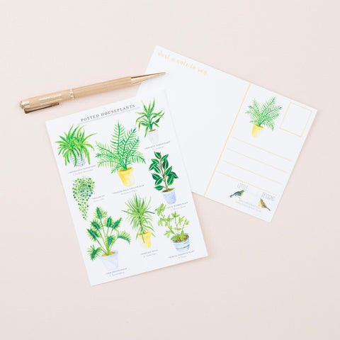 Potted Houseplant Postcard - Sprouts of Bristol