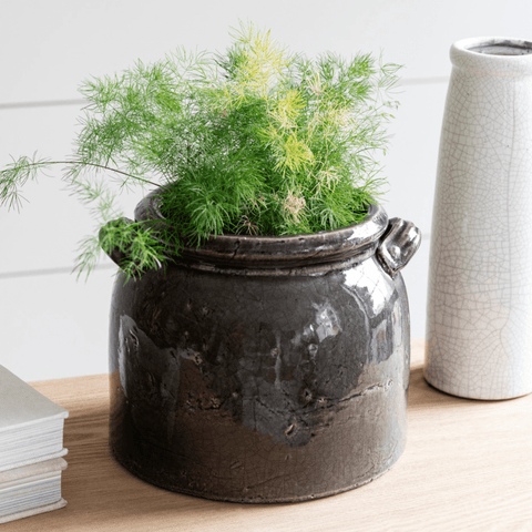 Ravello Pot with Handles - Sprouts of Bristol