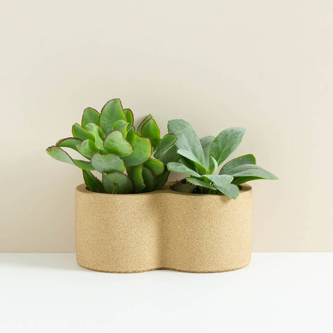 Rowan Double Planter - Sprouts of Bristol