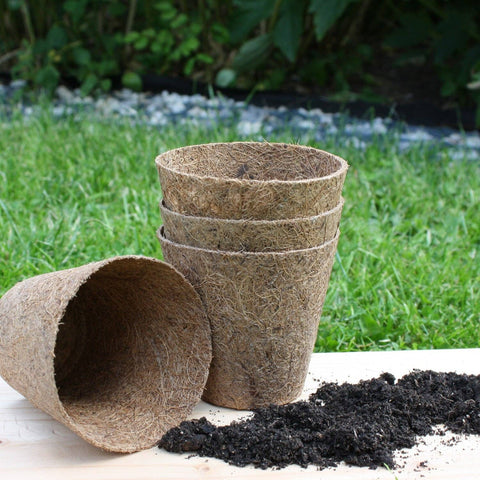Rubberised Certified Organic Coir Seedling Pots: 5cm - Sprouts of Bristol