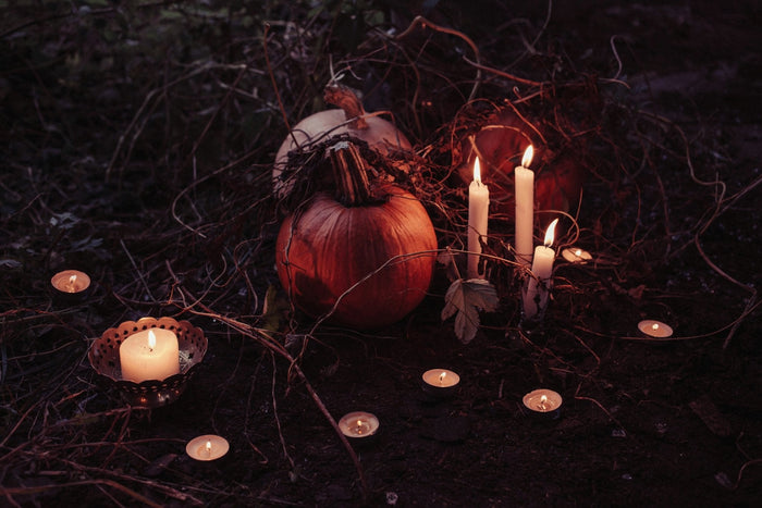 13 Spookiest Plants at Sprouts to Haunt Your House This Halloween - Sprouts of Bristol