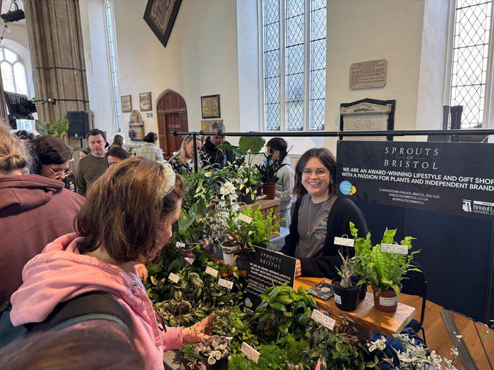 April Reflections: Beneath the Highs, the Lows, and the Canopy - Sprouts of Bristol